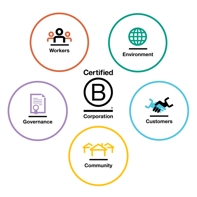 B Corp impact areas